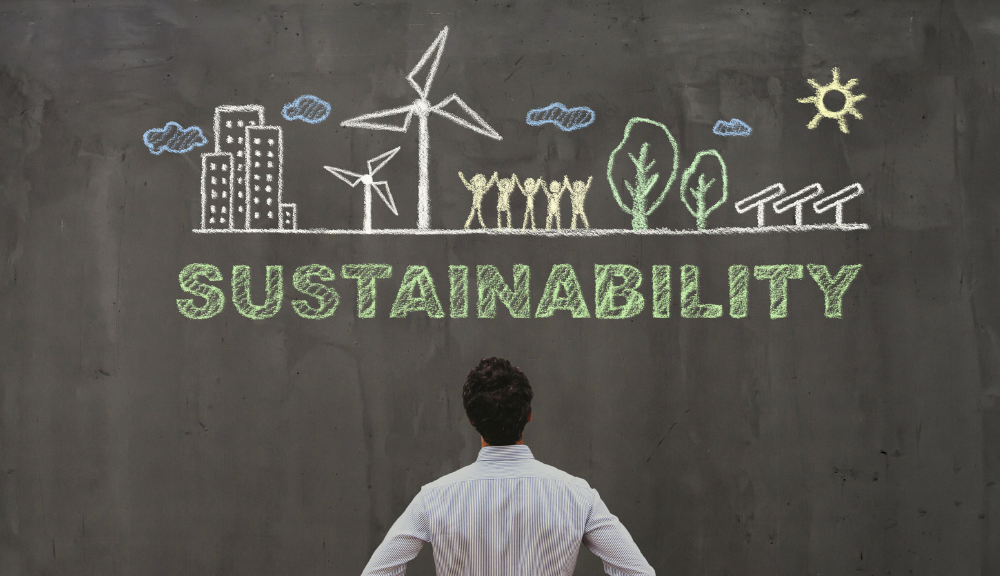 Seminario V ‘¿Por qué mi organización debería contar con un plan de sostenibilidad?’