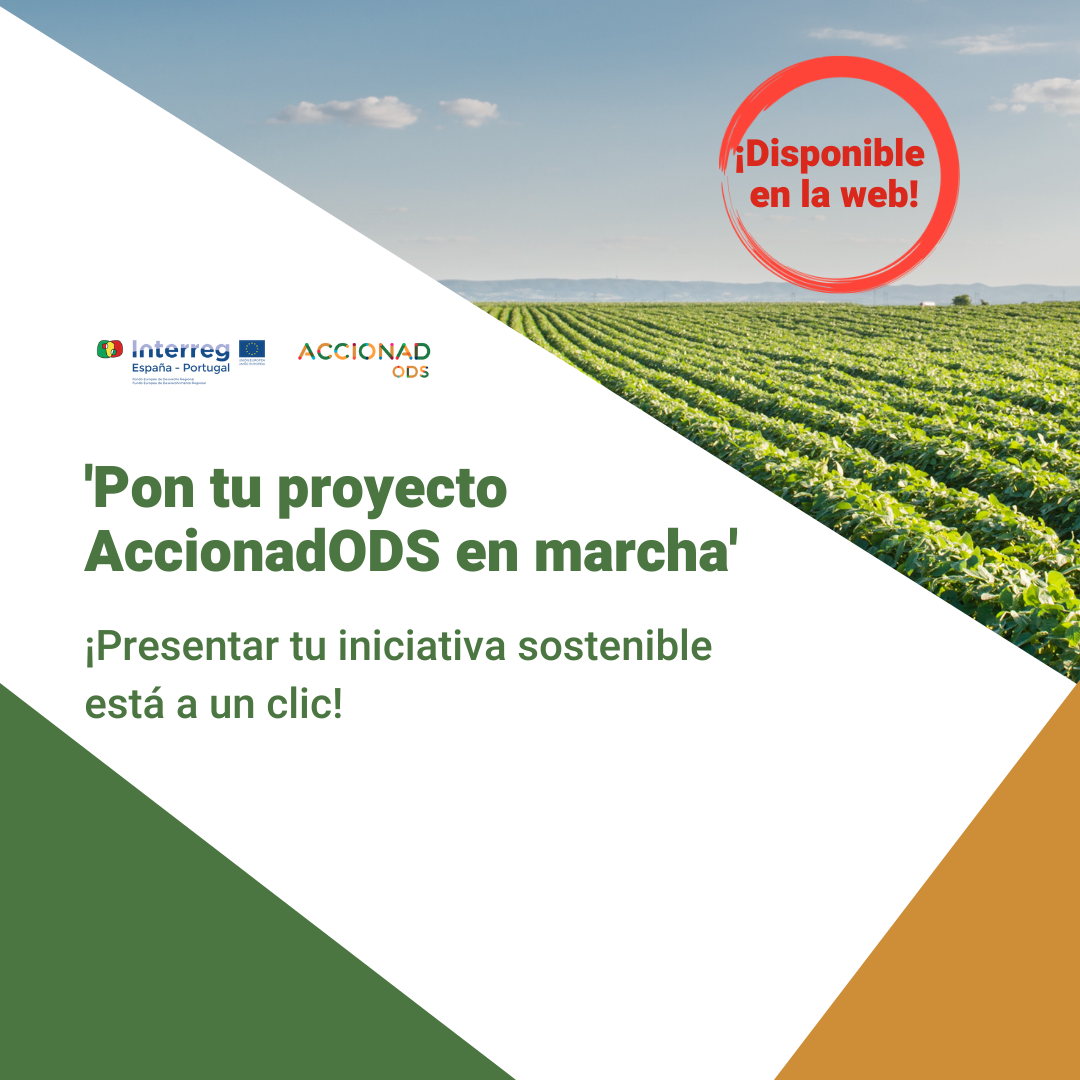 Pon tu proyecto ACCIONADODS en marcha